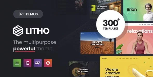 Download Litho-Premium Business Hub Conversion Marketing SEO