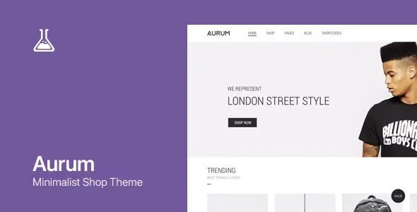 Download Aurum-Premium Multipurpose E-commerce Theme-Shopify Compatible-Best for Online Stores