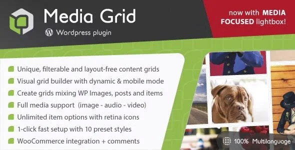 Download Media Grid-Responsive Portfolio Design-Highlighted Gallery-Free Download