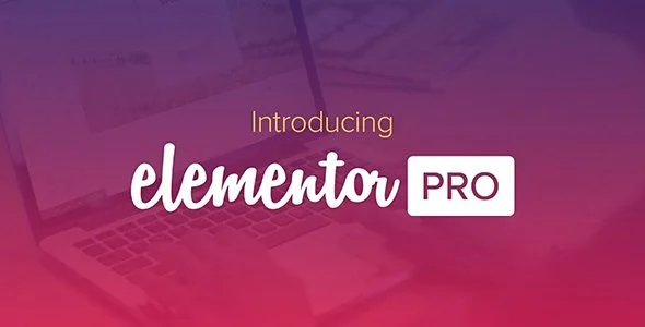 Download Elementor Pro - All-in-One Builder-Premium Design Marketing SEO