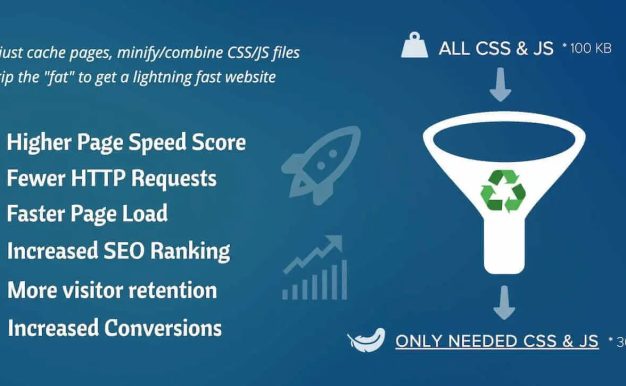 Download Asset CleanUp Pro-Boost Site Speed-Optimize Performance-Free