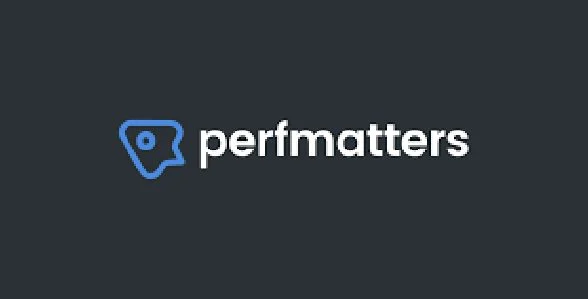 Download Perfmatters-Free Speed Optimization-Boost Site Performance-SEO Improvement-Cache Management