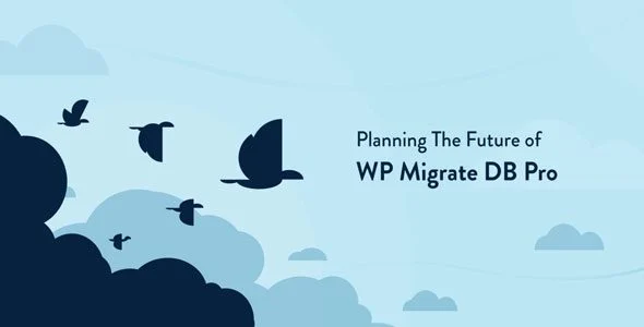 Download WP Migrate DB Pro-Database Migration-SEO Backup Migration Free