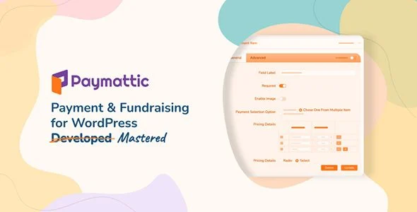 Download Paymattic Pro-Premium payment gateway integration-successful transactions-enhanced security-options