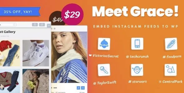 Download Grace-Free Instagram Feed Plugin for WordPress-Best Social Media Display-Photo Grid Layout