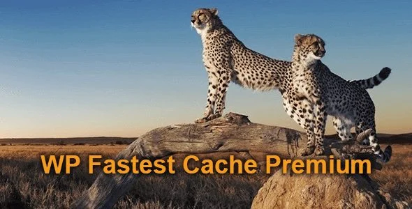 Download WP Fastest Cache Premium-Boost Speed-Lazy Load-SEO Optimized-Ad Blocker