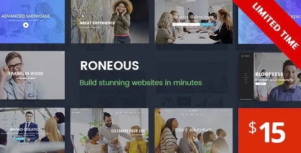 Download Roneous-Creative Design & Marketing-SEO Optimization Business Blog