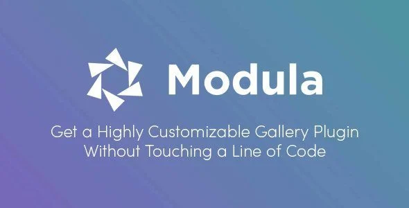 Download Modula Pro-Premium Design & Layout-Boost Sales-Conversions